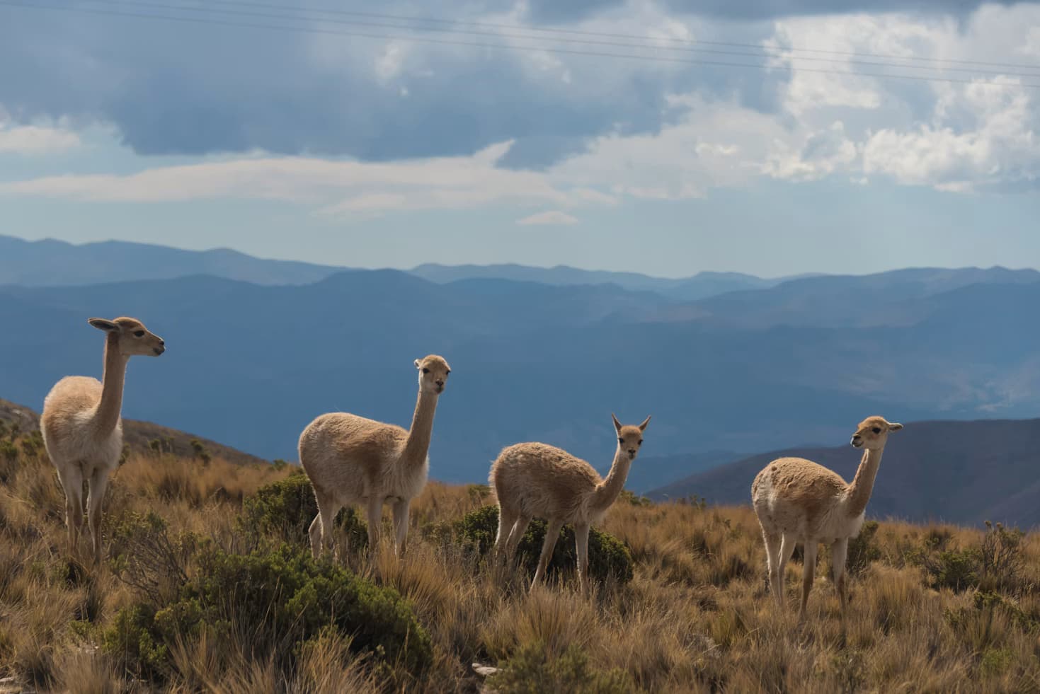 Argentina editorial photograph