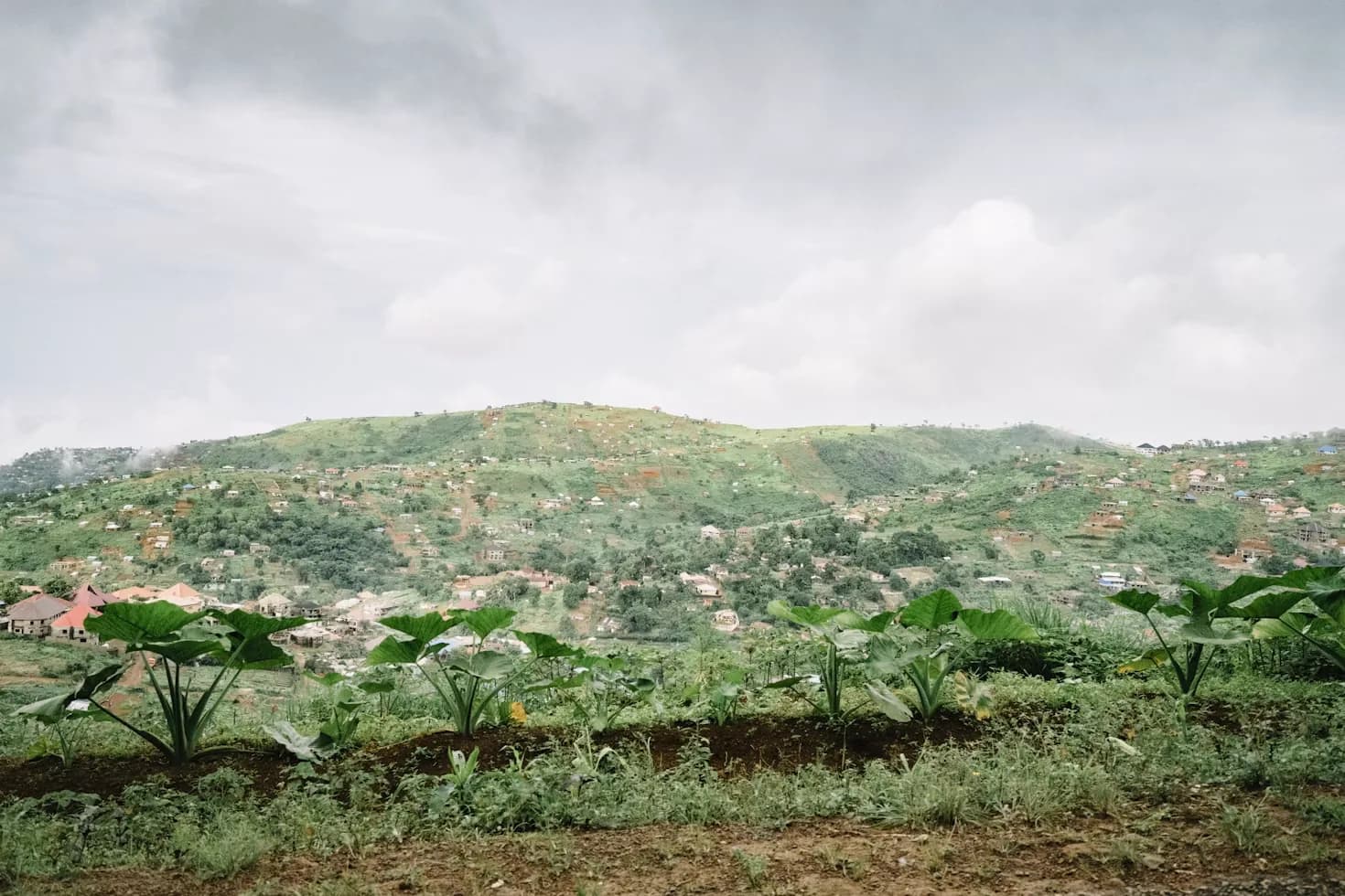 Sierra Leone editorial photograph