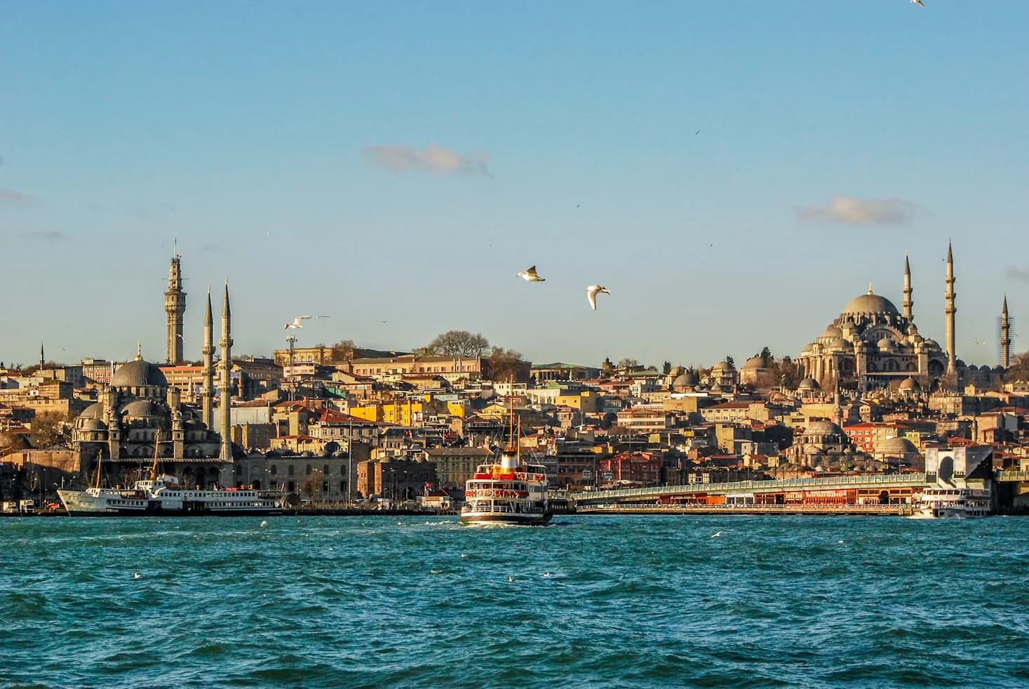 Turkey editorial photograph 3