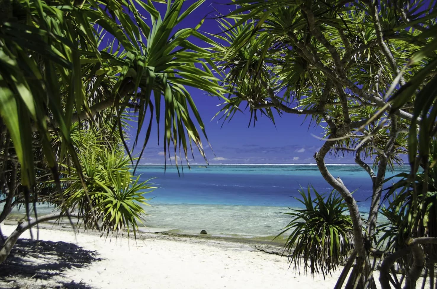 Vanuatu editorial photograph