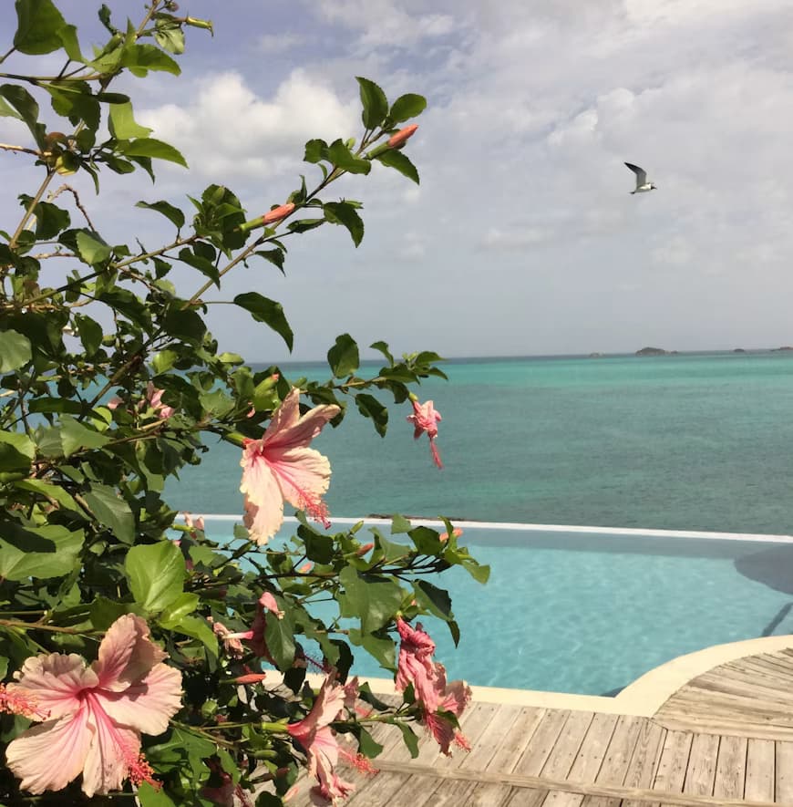 Antigua & Barbuda editorial photograph