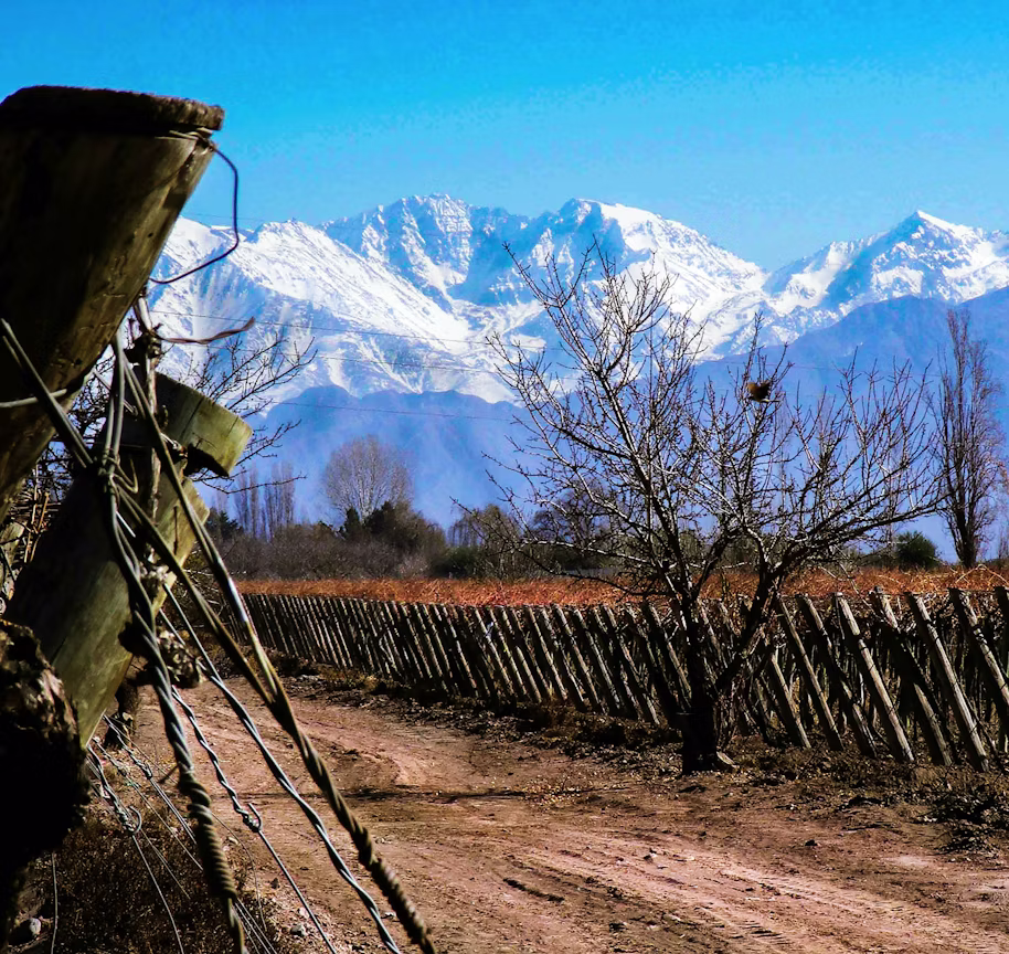 Snow-capped Andes above a rural fence line in Argentina