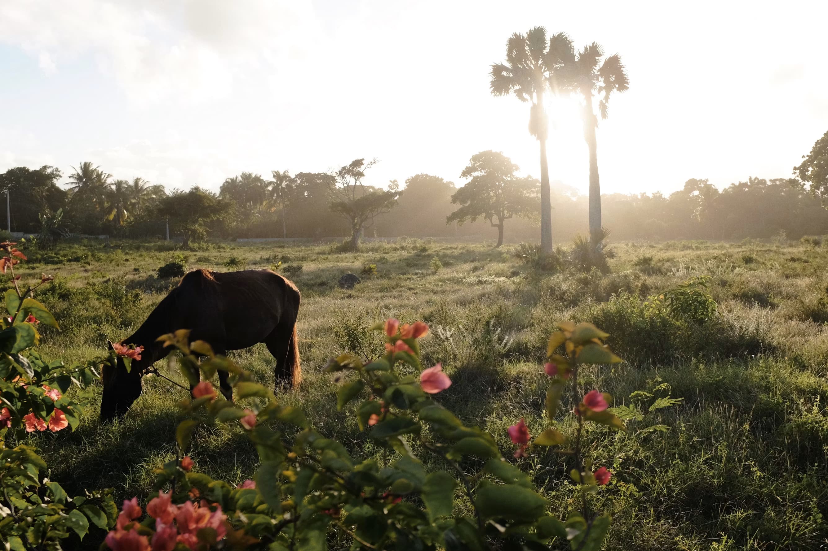 Dominican Republic editorial photograph 2