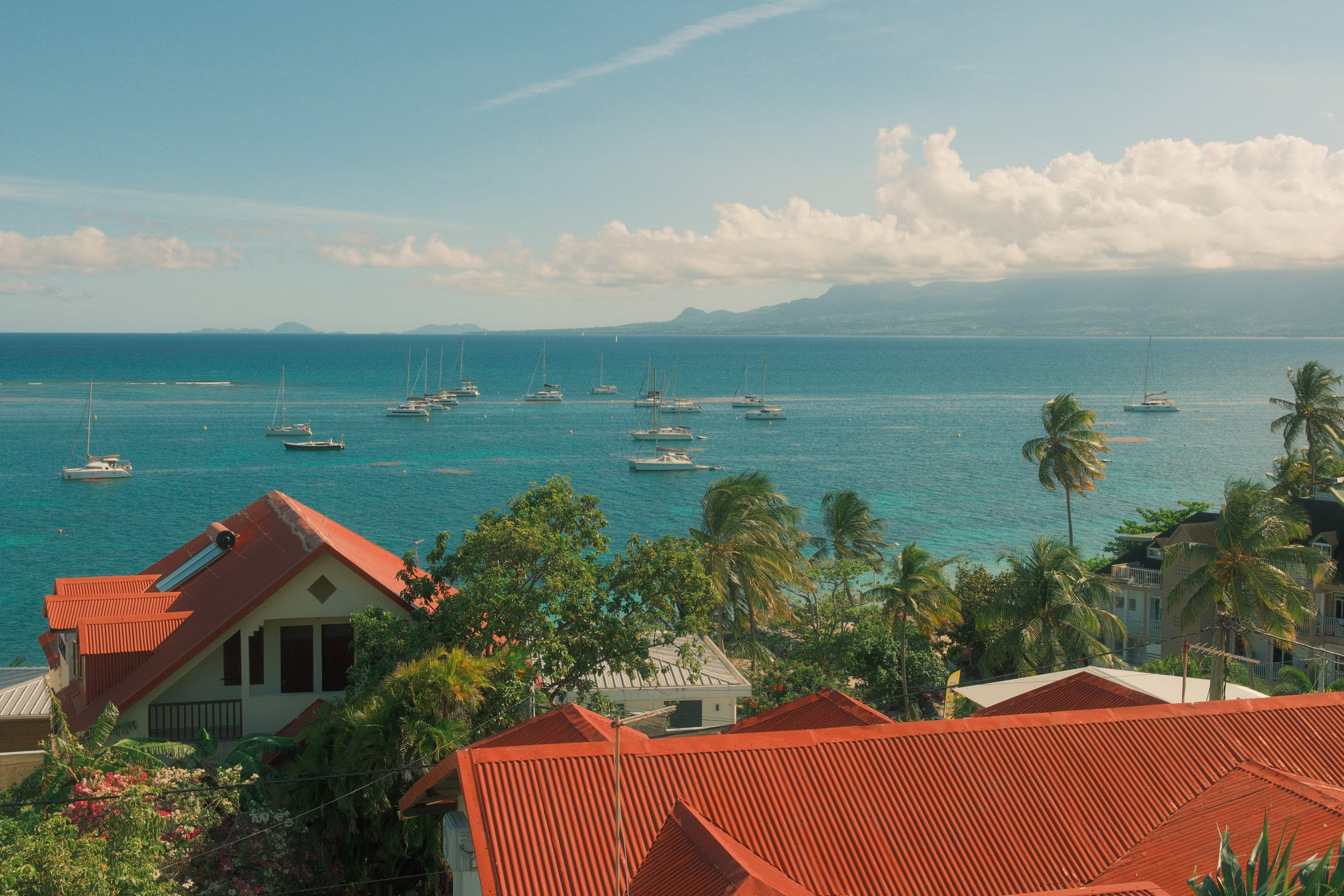 Family on one application, Grenada