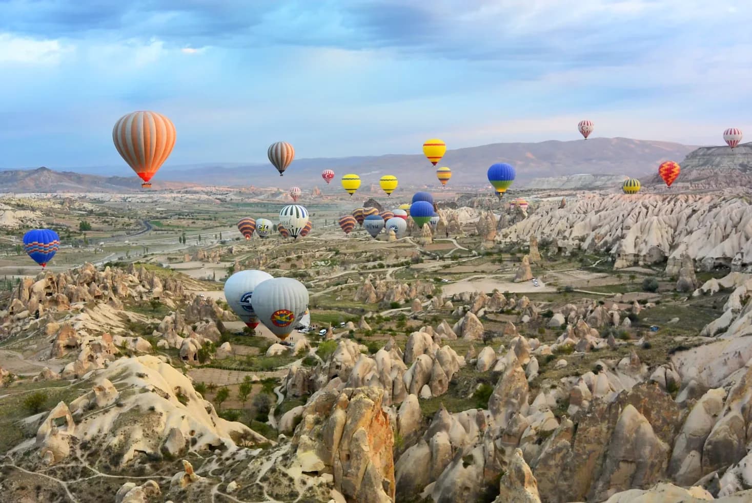 Turkey editorial photograph