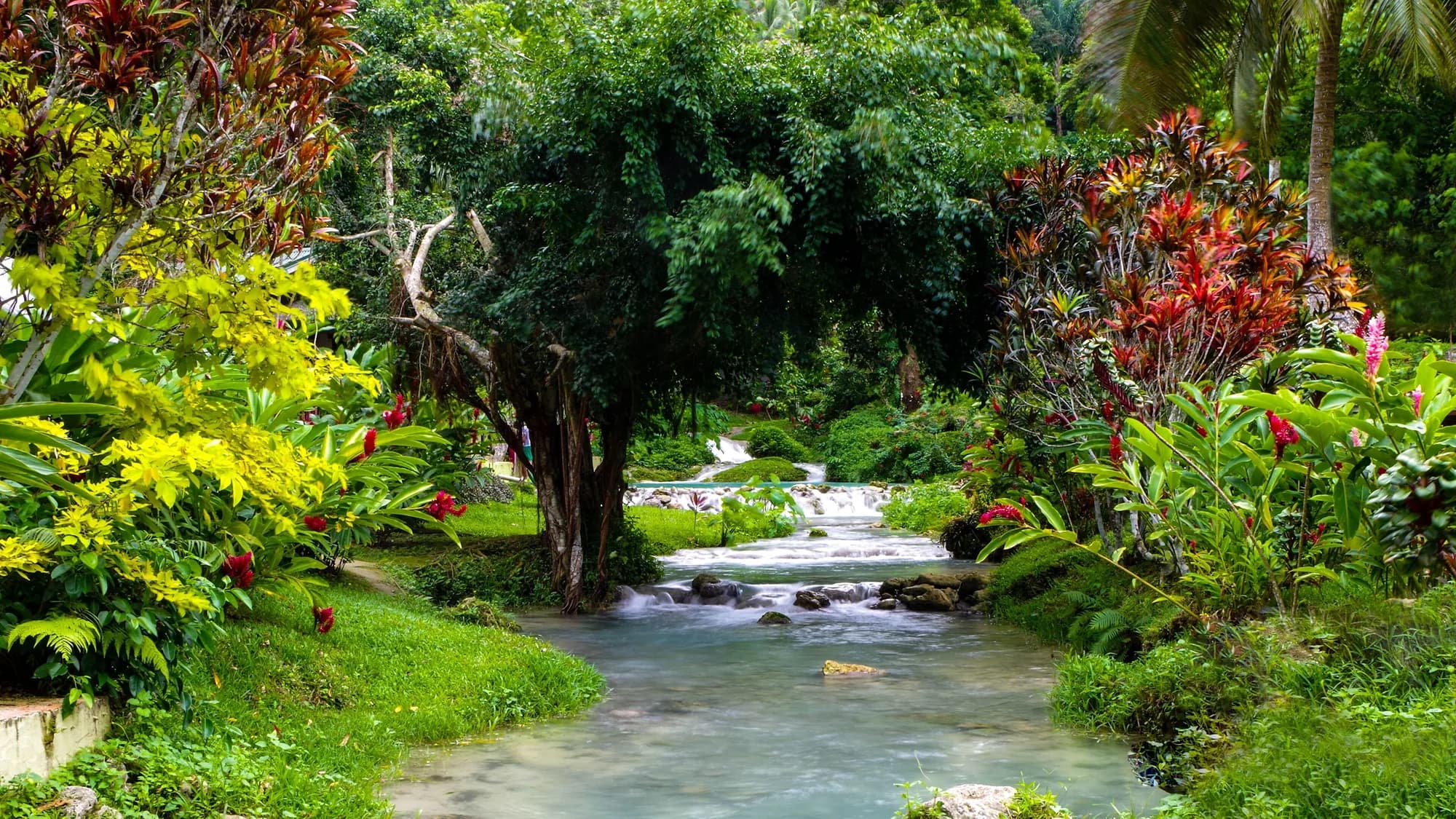 Vanuatu editorial photograph 3